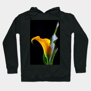 Yellow Calla Lily With Leaf Hoodie